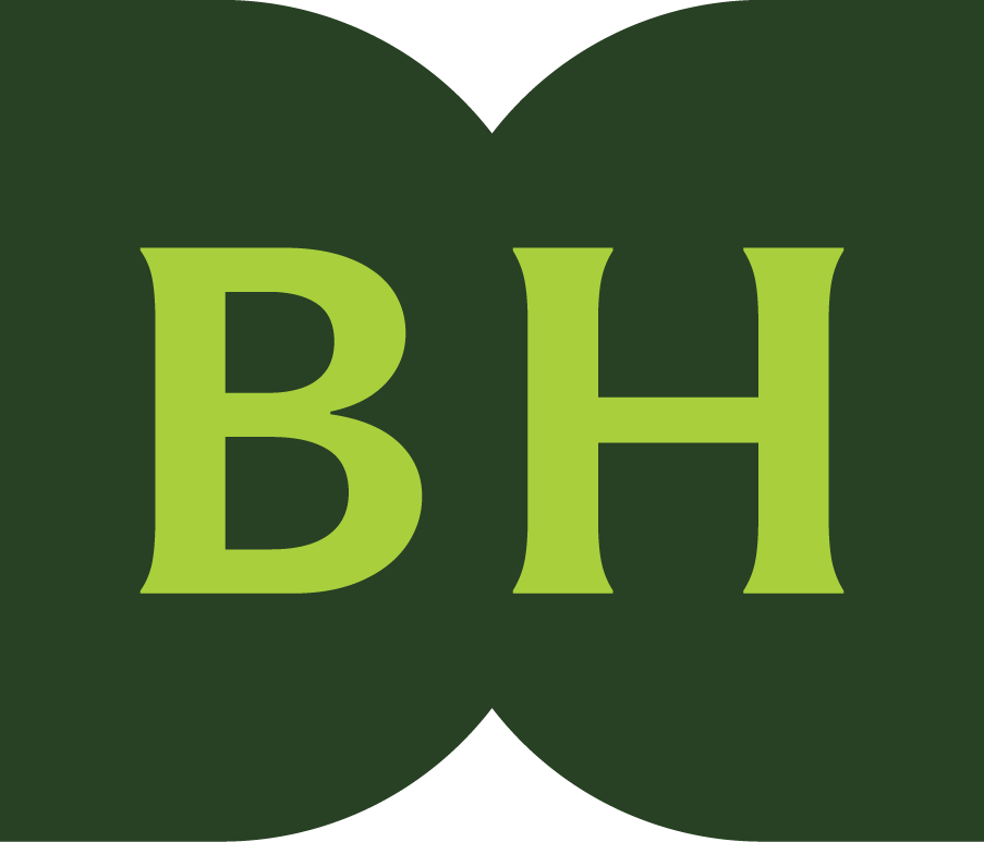 Bridgehead BH